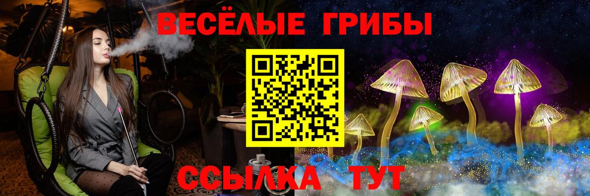 Галлюциногенные грибы Psilocybine cubensis  Галлюциногенные грибы GOLDEN TEACHER  Вход с VPN  Троицк 